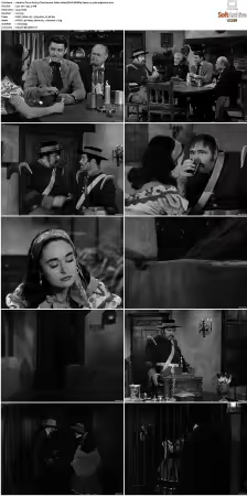 Zorro 1957 S01-S02 1080p DSNP WEBRip Opus 2.0 x265-edge2020