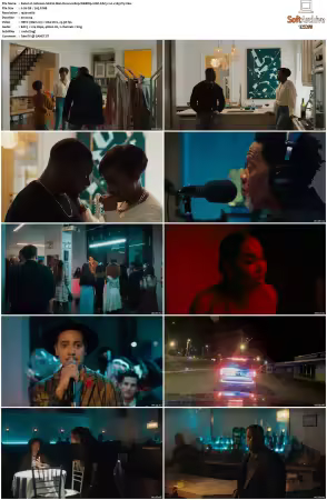 Johnson 2021 S01 1080p WEBRip 10bit EAC3 2.0 x265-iVy