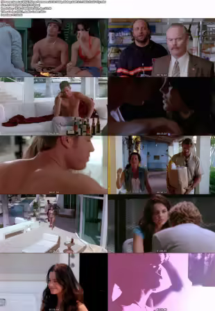 Wild Things Foursome 2010 1080p BluRay DDP 5.1 10bit H265-iVy