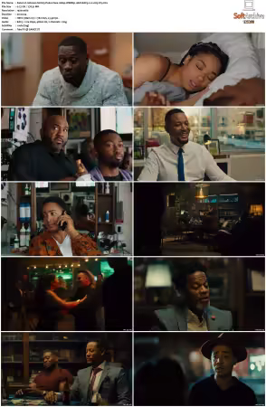 Johnson 2021 S01 1080p WEBRip 10bit EAC3 2.0 x265-iVy