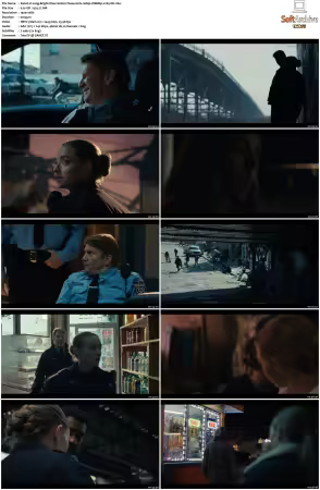 Long Bright River S01 1080p WEBRip x265-DH