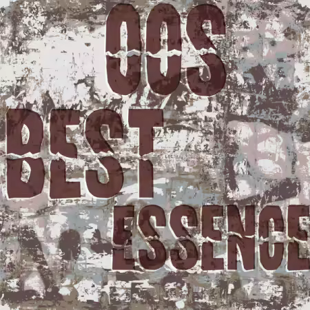Various Artists - 00s Best Essence (2025)