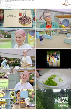 The Great Celebrity Bake Off for SU2C S04 1080p ALL4 WEB-DL AAC2.0 x264-NTb