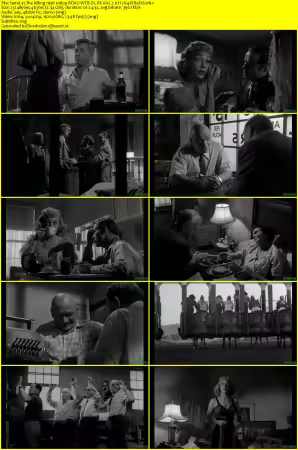 The Killing 1956 1080p ROKU WEB-DL HE-AAC 2.0 H264-PiRaTeS