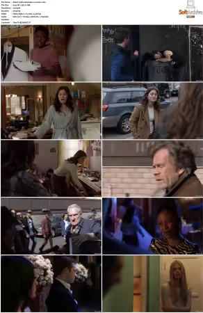 Shameless US S10 DVDRip x264-PFa