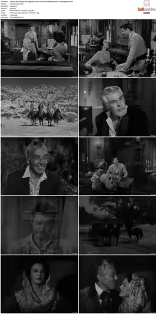 Zorro 1957 S01-S02 1080p DSNP WEBRip Opus 2.0 x265-edge2020