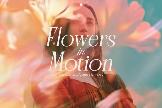 Flowers in Motion Bgs and Overlays - 291107346 - BMVUC5L