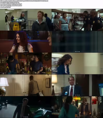 Mad Money 2008 1080p MAX WEB-DL DDP 5.1 H265-PiRaTeS