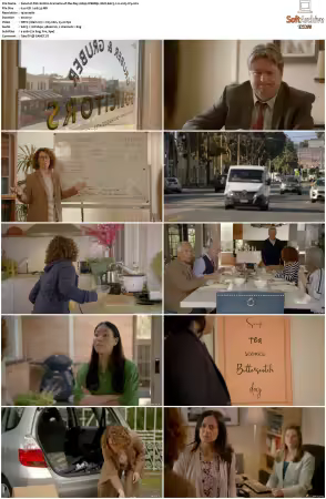 Fisk 2021 S01 1080p WEBRip 10bit EAC3 2.0 x265-iVy