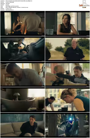 Seaside Crimes S02 MULTi 1080p WEB x264-AMB3R