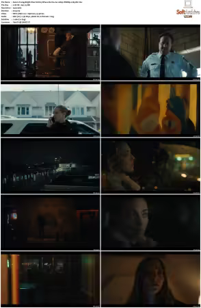 Long Bright River S01 1080p WEBRip x265-DH