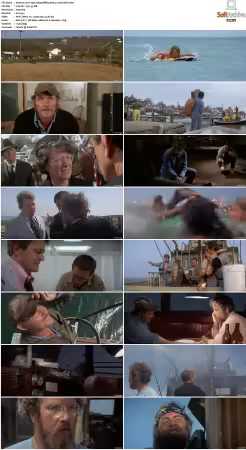 Jaws 1975 1080p BRRip AAC5.1 x265-XBiTs