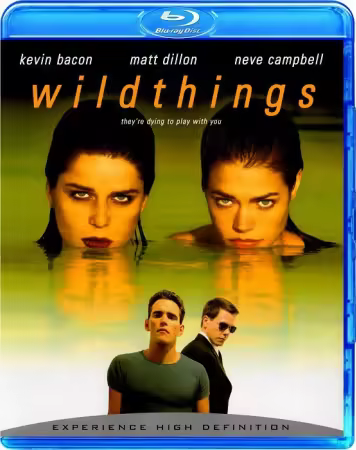 Wild Things 1998 edition-Unrated 1080p BluRay DDP 5.1 10bit H265-iVy