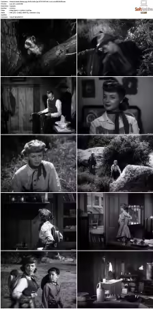 Annie Oakley 1954 S01 NTSC DVD AAC 2 0 H 264-ARCHIVED