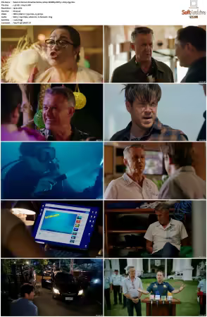 Almost Paradise S01 S02 1080p WEBRip DDP5.1 H265-d3g