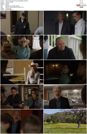NCIS S21 1080p WEBRip x265-DH
