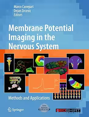 Membrane Potential Imaging in the Nervous System: Methods and Applications