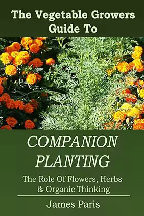 Companion Planting: The Role Of Flowers, Herbs, &amp; Organic Thinking