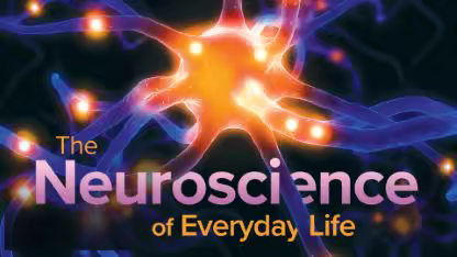 TTC - The Neuroscience of Everyday Life