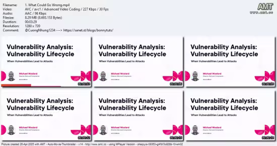 Vulnerability Analysis: Vulnerability Lifecycle