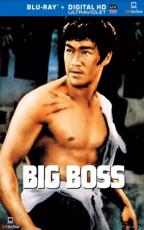The Big Boss 1971 REMASTERED CHINESE 1080p BluRay REMUX AVC DTS-MA 5.1-FGT