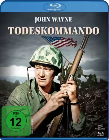 Sands of Iwo Jima 1949 1080p BluRay DD+2.0 x264-playHD