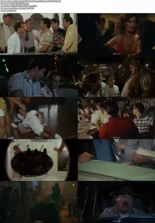 Porkys 1981 1080p BluRay AV1 Opus-SWAXXON