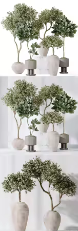3dsky - Elastica Abidjan Melany and Mission Olive Tree Vase 18 5896791 - 3D Model