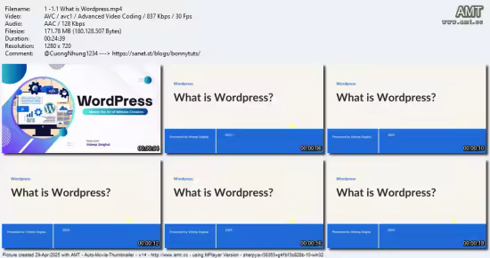 Master WordPress: Build Stunning Websites from Start