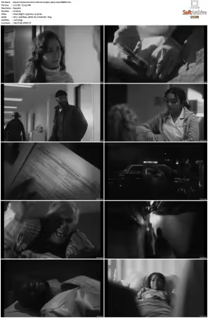 American Horror Stories S03 480p x264-AMBER
