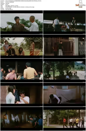 The Big Boss 1971 REMASTERED CHINESE 1080p BluRay REMUX AVC DTS-MA 5.1-FGT