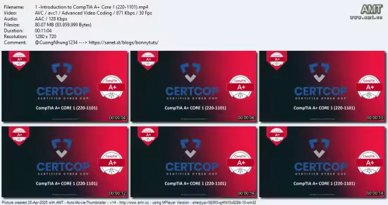 CompTIA A+ (220-1102): Hardware and Network Troubleshooting