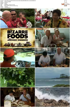 Bizarre Foods With Andrew Zimmern S02 1080p AMZN WEB-DL DD 2 0 H 264-SLiGNOME