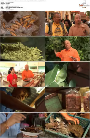 Bizarre Foods With Andrew Zimmern S02 1080p AMZN WEB-DL DD 2 0 H 264-SLiGNOME