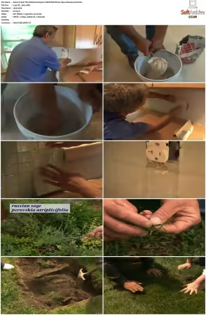 Ask This Old House S05 1080p WEB-DL AV1 OPUS-PleaseRewind