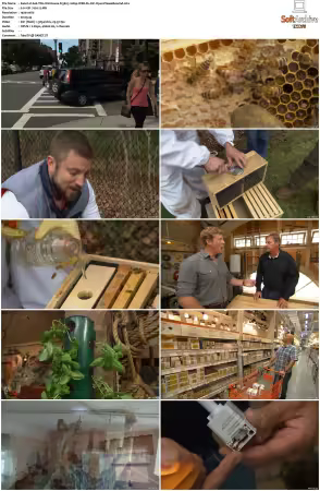 Ask This Old House S13 1080p WEB-DL AV1 OPUS-PleaseRewind