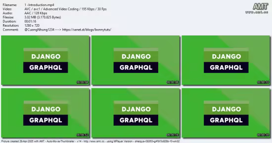 Python Django GraphQL Strawberry Query Fundamentals