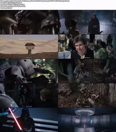 Star Wars Episode VI Return of the Jedi 1983 1080p Bluray OPUS 7.1 AV1-WhiskeyJack