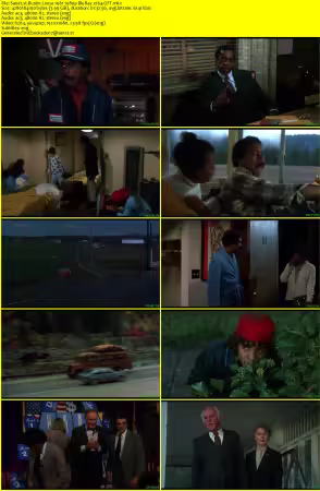 Bustin Loose 1981 1080p BluRay x264-OFT