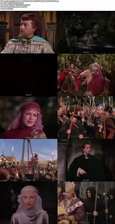 The Adventures Of Robin Hood 1938 1080p BluRay x265-RBG