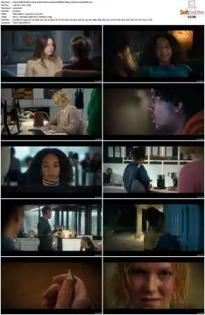 Black Mirror S07 1080p NF WEB-DL DDP5 1 Atmos H264-APEX