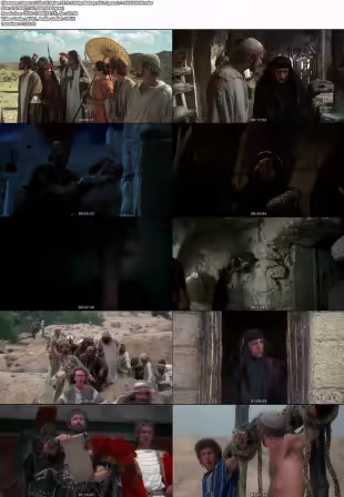 Life Of Brian 1979 1080p BluRay AV1 Opus 5.1-SWAXXON