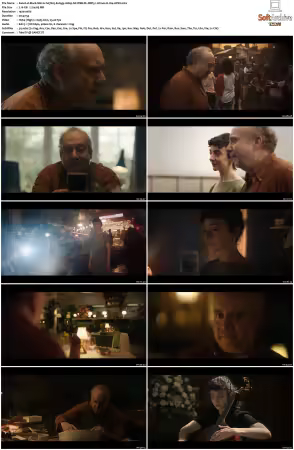 Black Mirror S07 1080p NF WEB-DL DDP5 1 Atmos H264-APEX