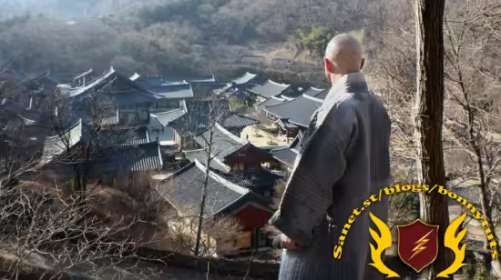 Zen Meditation - The Novice