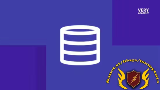 Python Django GraphQL Strawberry Query Fundamentals