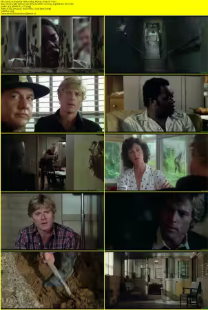 Brubaker 1980 1080p BluRay x264-OFT