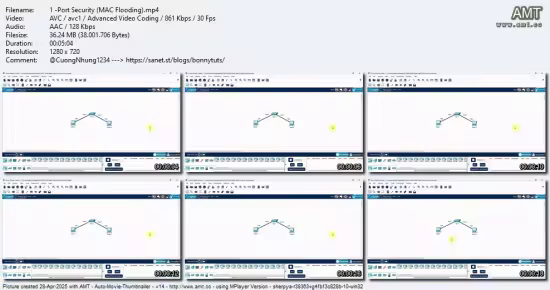 Network and Cyber Security: Cisco Certification Prep