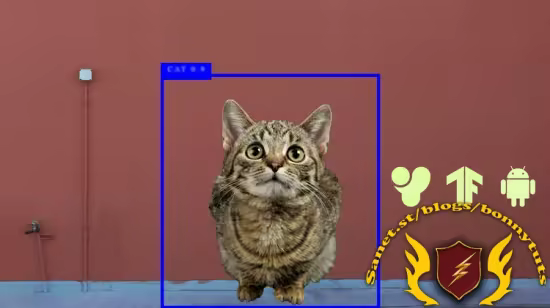 YoLo for Cats