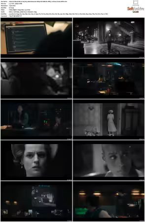 Black Mirror S07 1080p NF WEB-DL DDP5 1 Atmos H264-APEX
