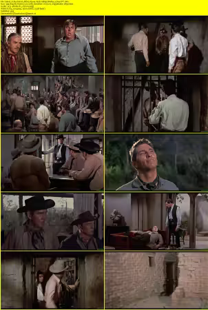Buchanan Rides Alone 1958 1080p BluRay x264-OFT